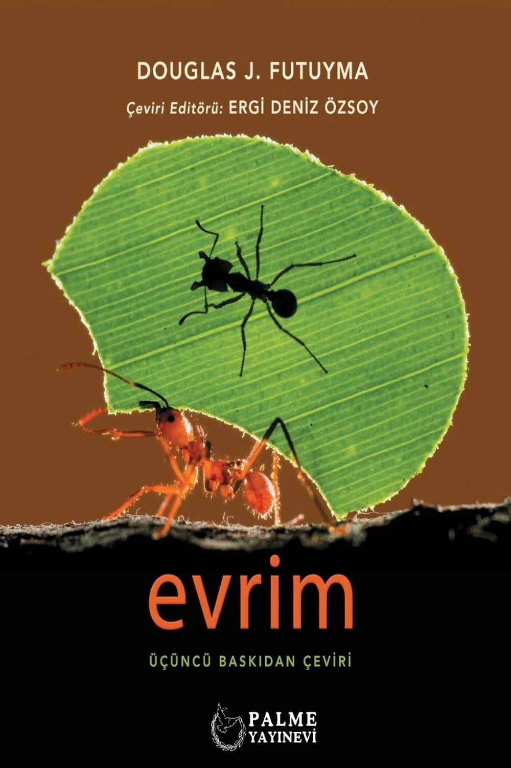Evrim kapağı