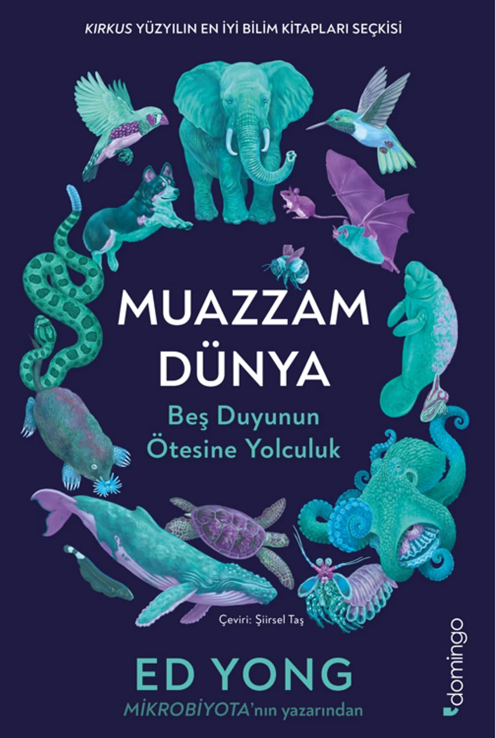 Muazzam Dünya: Beş Duyunun Ötesine Yolculuk kapağı